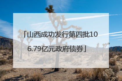 山西成功发行第四批106.79亿元政府债券