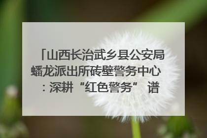 山西长治武乡县公安局蟠龙派出所砖壁警务中心：深耕“红色警务” 谱写“平安答卷”