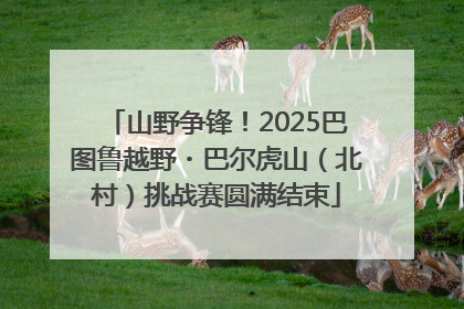 山野争锋！2025巴图鲁越野・巴尔虎山（北村）挑战赛圆满结束