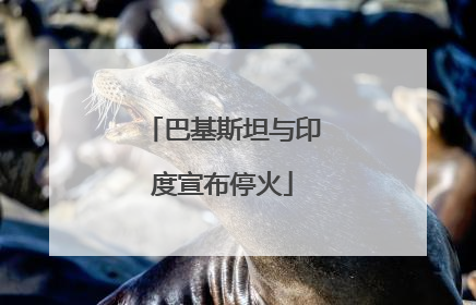 巴基斯坦与印度宣布停火