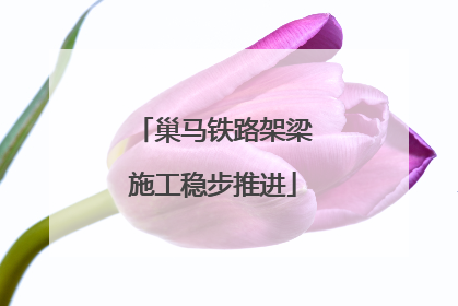 巢马铁路架梁施工稳步推进