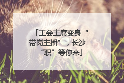 工会主席变身“带岗主播”，长沙“职”等你来