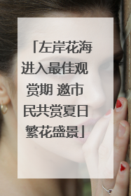 左岸花海进入最佳观赏期 邀市民共赏夏日繁花盛景