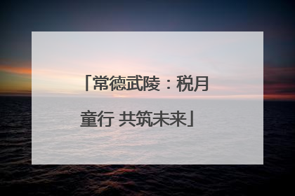 常德武陵：税月童行 共筑未来