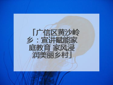广信区黄沙岭乡：宣讲赋能家庭教育 家风浸润美丽乡村
