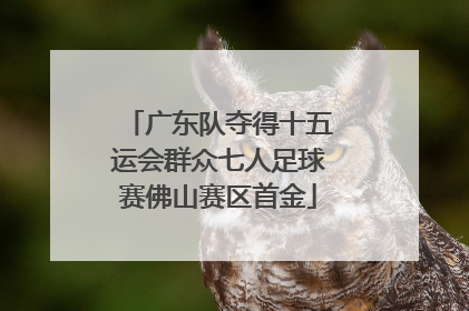 广东队夺得十五运会群众七人足球赛佛山赛区首金