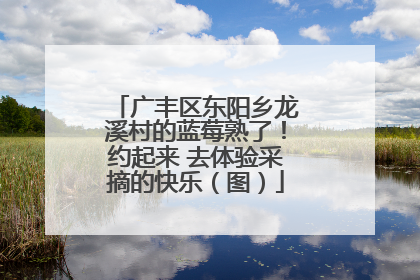 广丰区东阳乡龙溪村的蓝莓熟了！约起来 去体验采摘的快乐（图）