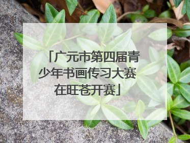 广元市第四届青少年书画传习大赛在旺苍开赛