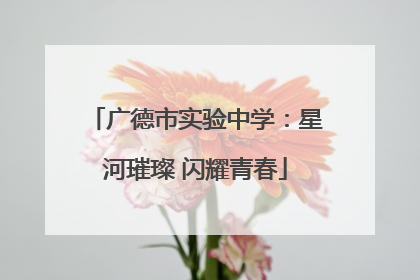 广德市实验中学：星河璀璨 闪耀青春