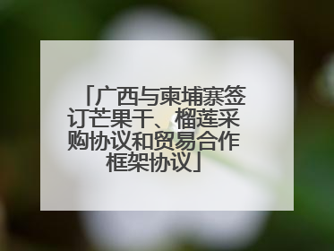 广西与柬埔寨签订芒果干、榴莲采购协议和贸易合作框架协议