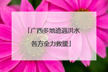 广西多地遭遇洪水 各方全力救援