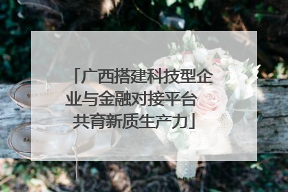 广西搭建科技型企业与金融对接平台 共育新质生产力