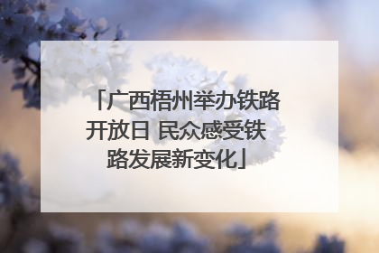 广西梧州举办铁路开放日 民众感受铁路发展新变化