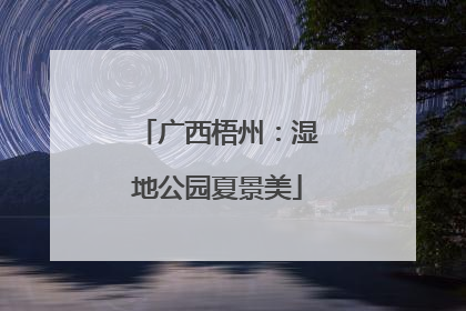 广西梧州：湿地公园夏景美