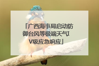 广西海事局启动防御台风等极端天气IV级应急响应