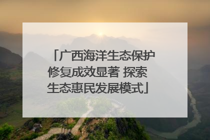广西海洋生态保护修复成效显著 探索生态惠民发展模式