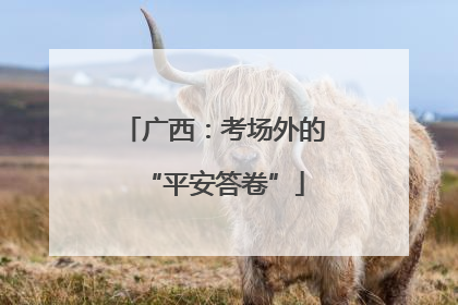 广西：考场外的“平安答卷”