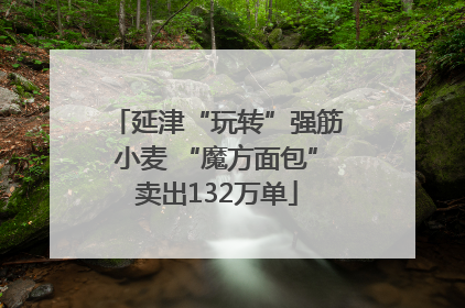 延津“玩转”强筋小麦 “魔方面包”卖出132万单