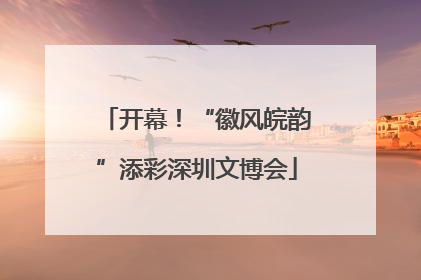 开幕！“徽风皖韵”添彩深圳文博会