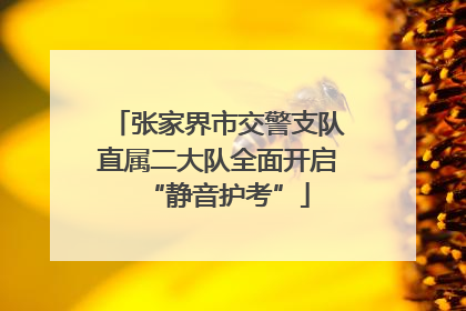 张家界市交警支队直属二大队全面开启“静音护考”