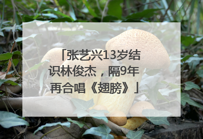 张艺兴13岁结识林俊杰，隔9年再合唱《翅膀》
