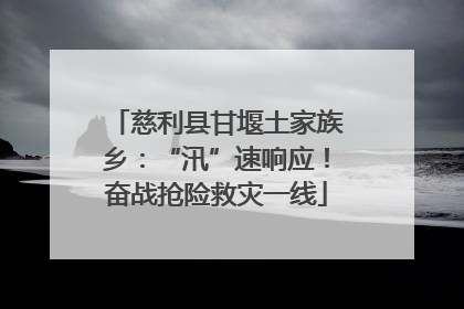 慈利县甘堰土家族乡：“汛”速响应！奋战抢险救灾一线