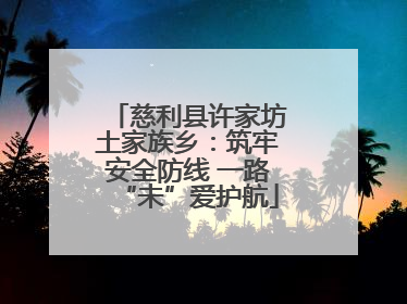 慈利县许家坊土家族乡：筑牢安全防线 一路“未”爱护航