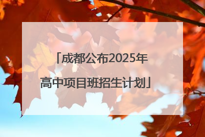 成都公布2025年高中项目班招生计划