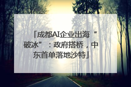 成都AI企业出海“破冰”：政府搭桥，中东首单落地沙特