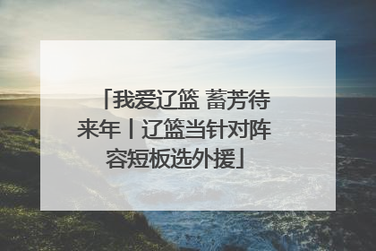 我爱辽篮 蓄芳待来年丨辽篮当针对阵容短板选外援