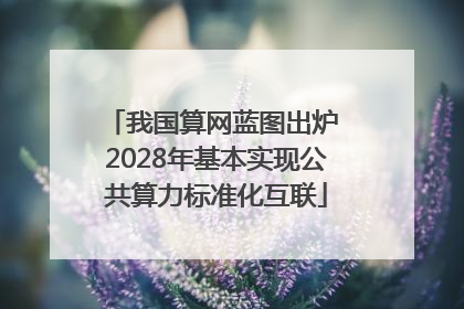 我国算网蓝图出炉 2028年基本实现公共算力标准化互联