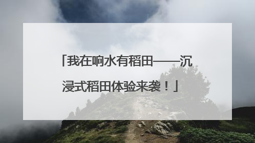 我在响水有稻田——沉浸式稻田体验来袭！