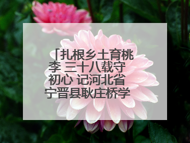 扎根乡土育桃李 三十八载守初心 记河北省宁晋县耿庄桥学区教师张志涛