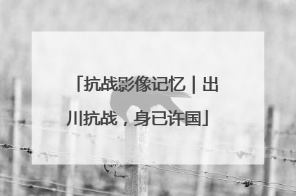 抗战影像记忆｜出川抗战，身已许国