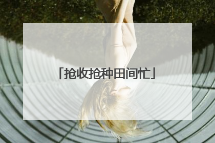抢收抢种田间忙