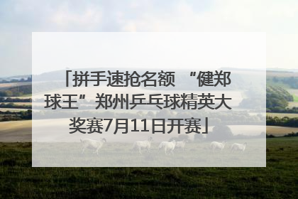 拼手速抢名额 “健郑球王”郑州乒乓球精英大奖赛7月11日开赛