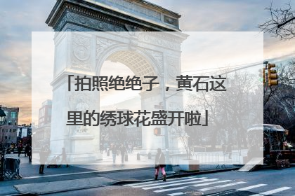 拍照绝绝子，黄石这里的绣球花盛开啦