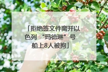 拒绝签文件离开以色列 “玛德琳”号船上8人被拘