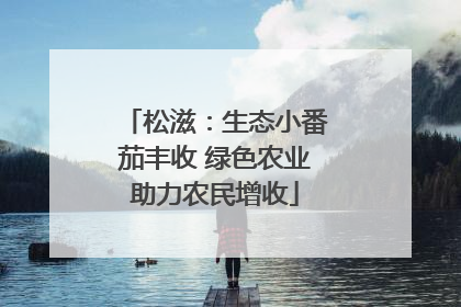 松滋：生态小番茄丰收 绿色农业助力农民增收