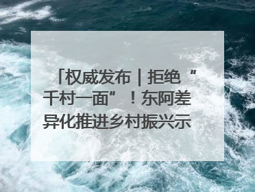 权威发布｜拒绝“千村一面”！东阿差异化推进乡村振兴示范片区建设
