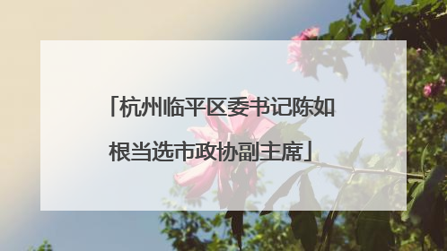 杭州临平区委书记陈如根当选市政协副主席