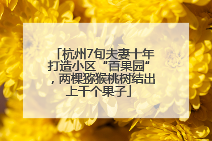 杭州7旬夫妻十年打造小区“百果园”，两棵猕猴桃树结出上千个果子