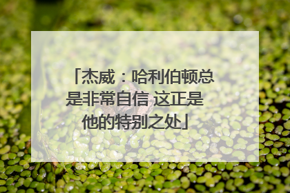 杰威：哈利伯顿总是非常自信 这正是他的特别之处