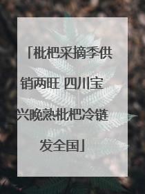 枇杷采摘季供销两旺 四川宝兴晚熟枇杷冷链发全国