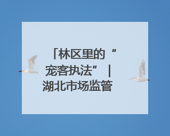 林区里的“宠客执法”｜湖北市场监管所的故事