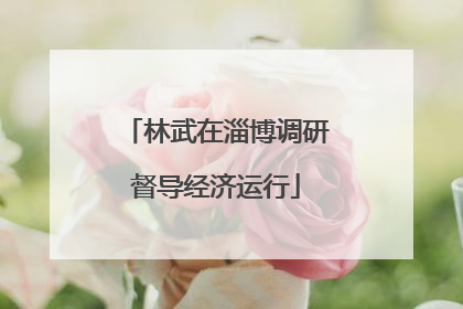 林武在淄博调研督导经济运行