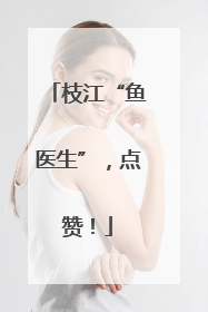 枝江“鱼医生”，点赞！