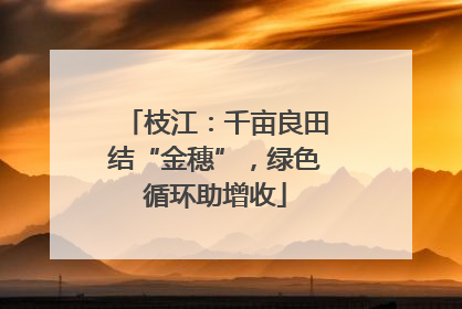枝江：千亩良田结“金穗”，绿色循环助增收