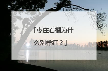 枣庄石榴为什么别样红？