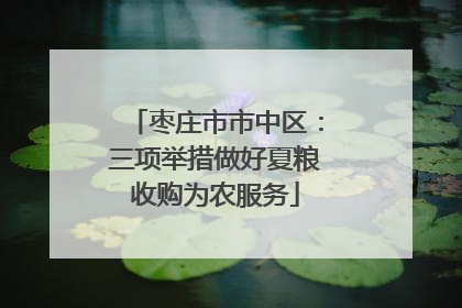 枣庄市市中区：三项举措做好夏粮收购为农服务